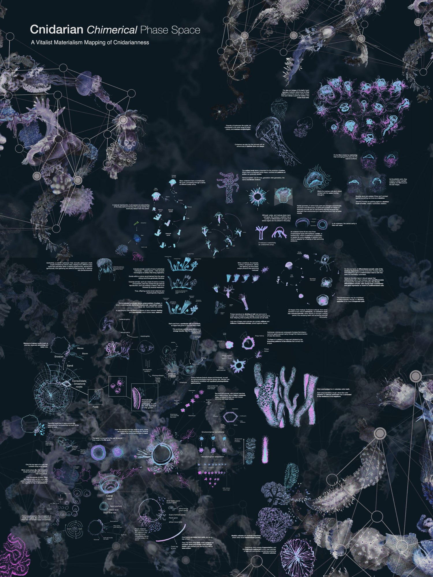 Poster titled Cnidarian Chimerical Phase Space, A Vitalist Materialism Mapping of Cnidarianness: a dark map of jellyfish and other cnidarians linked by fine lines