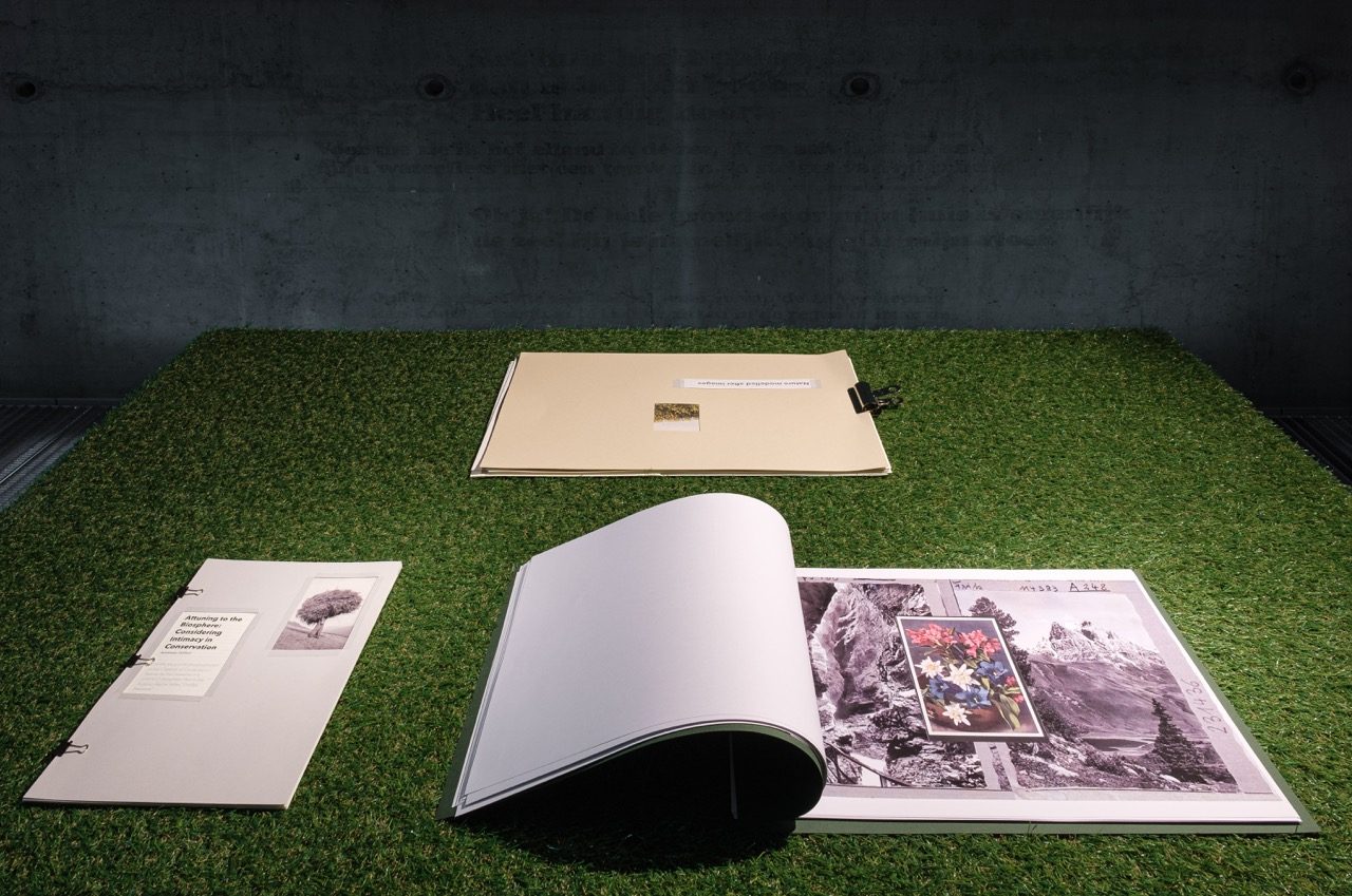 Process booklets and printed sheets lying open on artificial grass