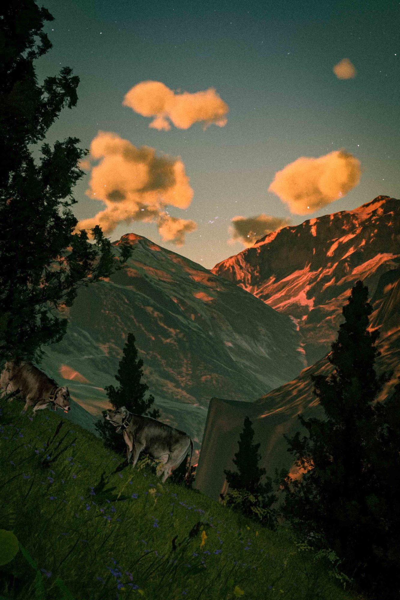 Still from the 3D landscape: mountains at dusk, pine trees and animals on a grassy slope under orange-lit clouds