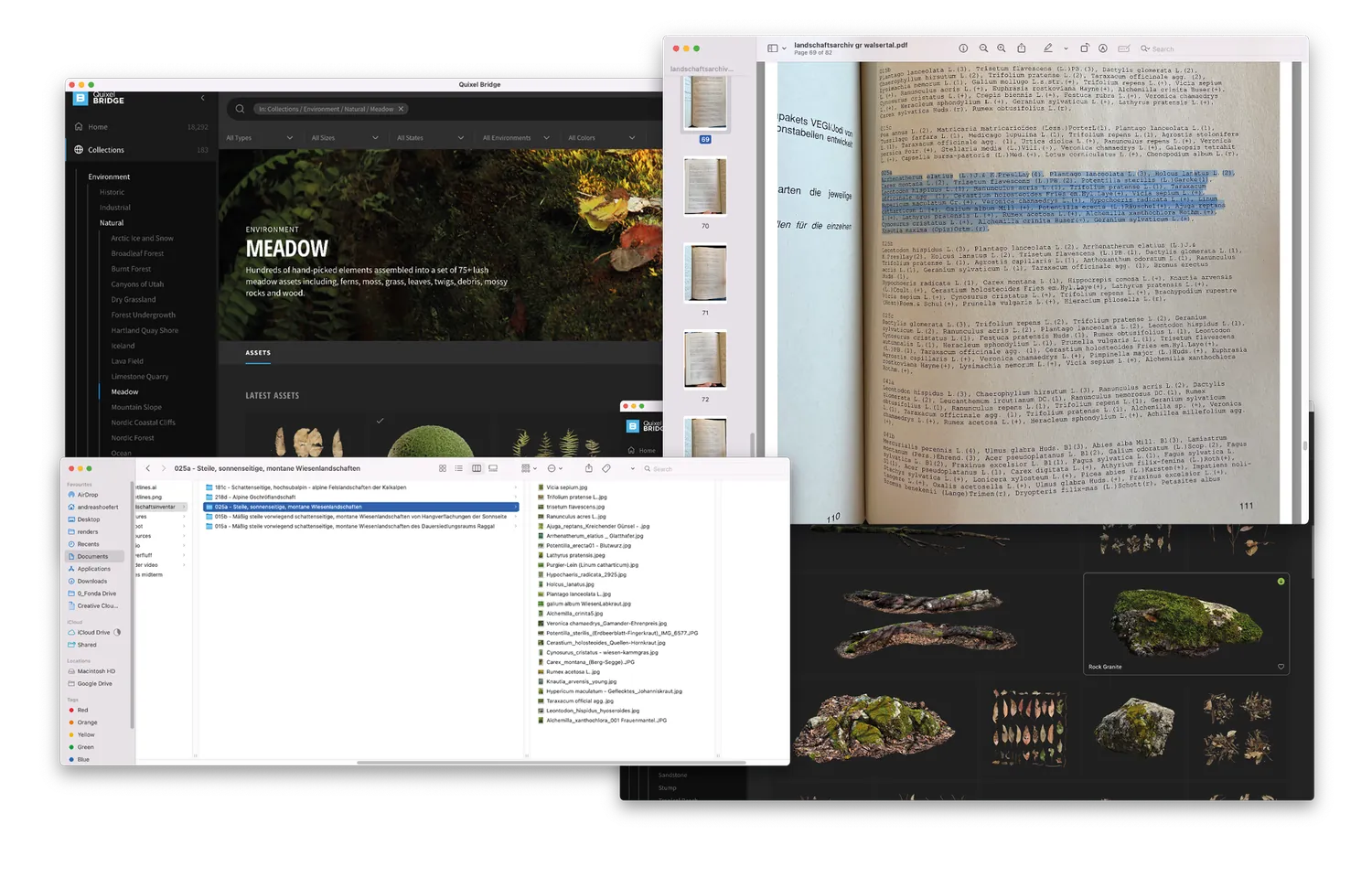 Process documentation: an online library of 3D plant assets next to a page of park regulations