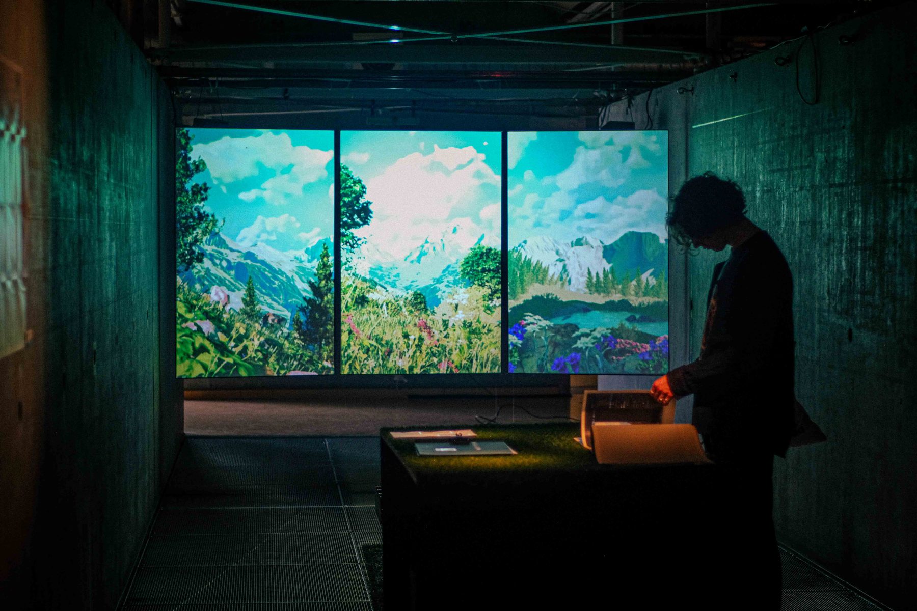 A visitor in silhouette in front of the projection of a colourful alpine landscape, next to a table with booklets