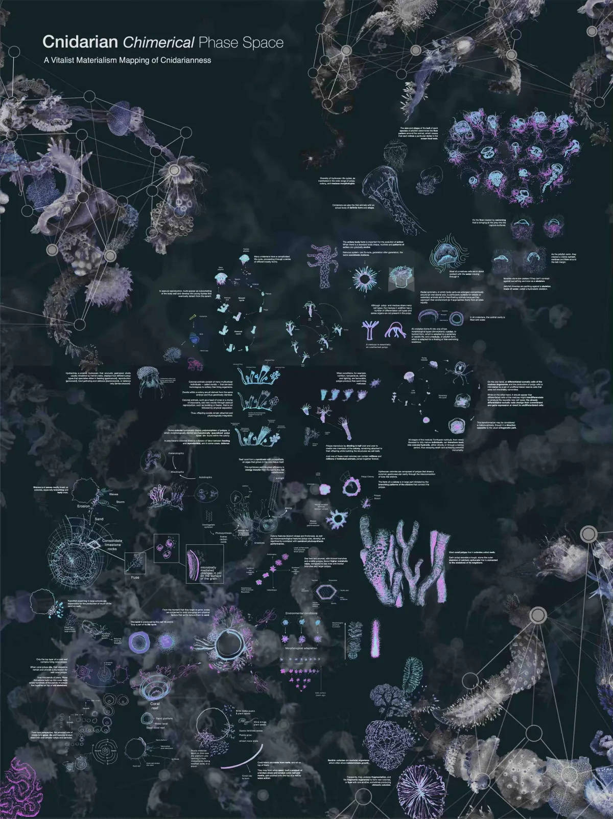 Cnidarian Economics