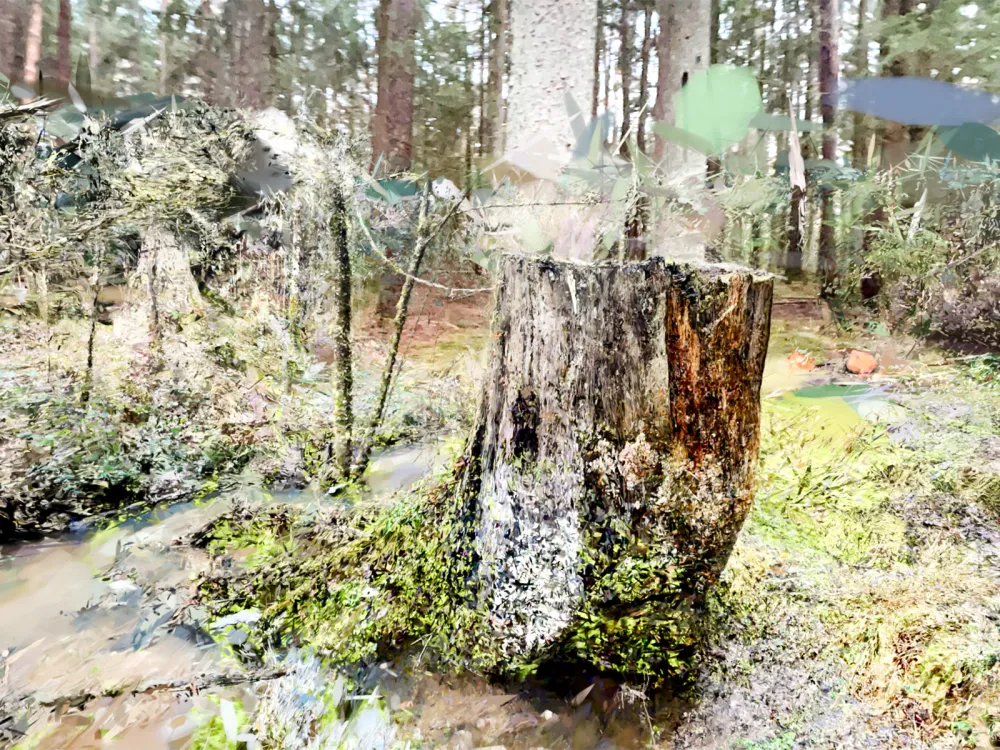 Gaussian splat of a rotting tree trunk