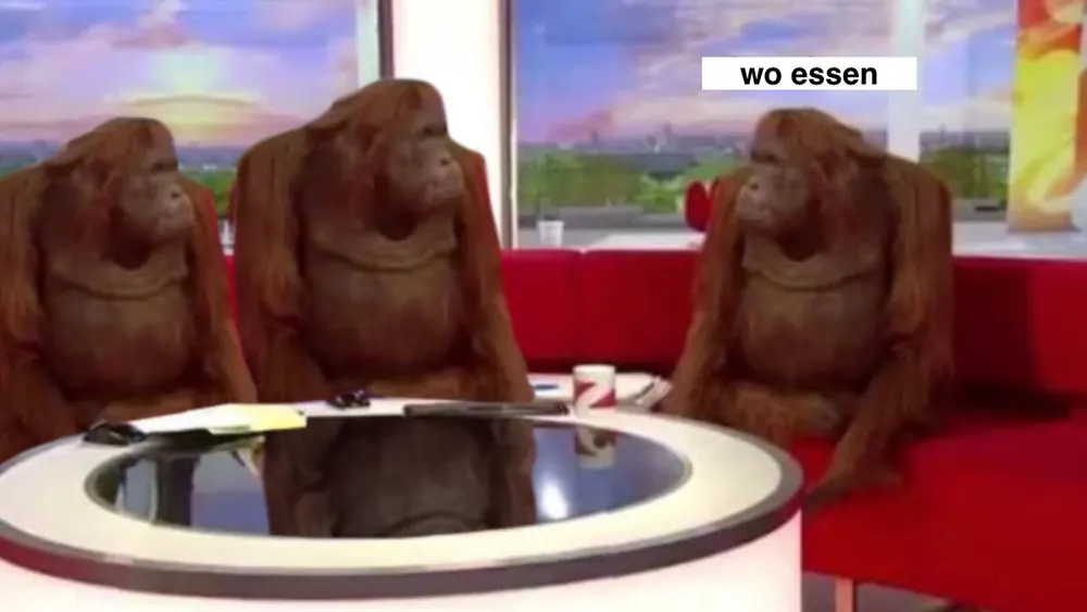 Three orangutans sitting at a television news desk, captioned “wo essen”